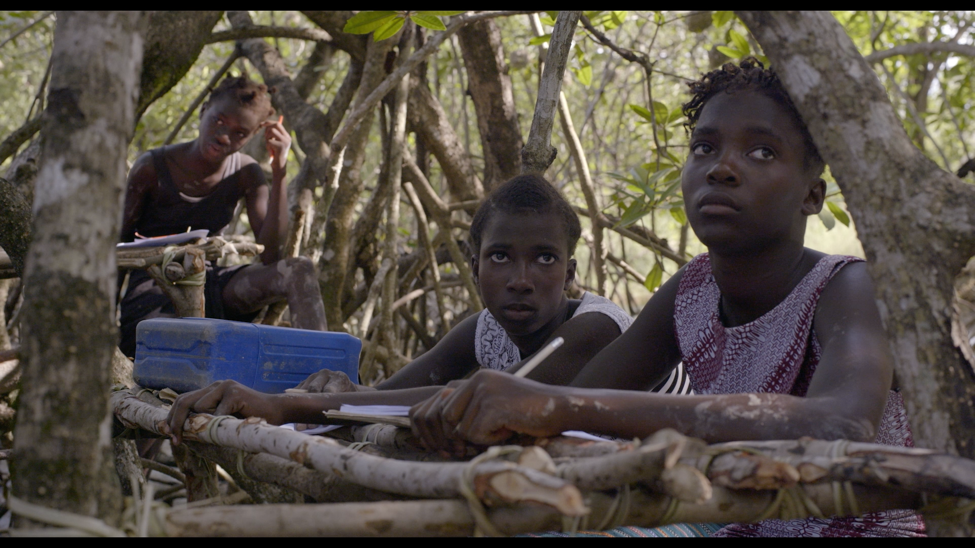 Mangrove School, Sónia Vaz Borges & Filipa César