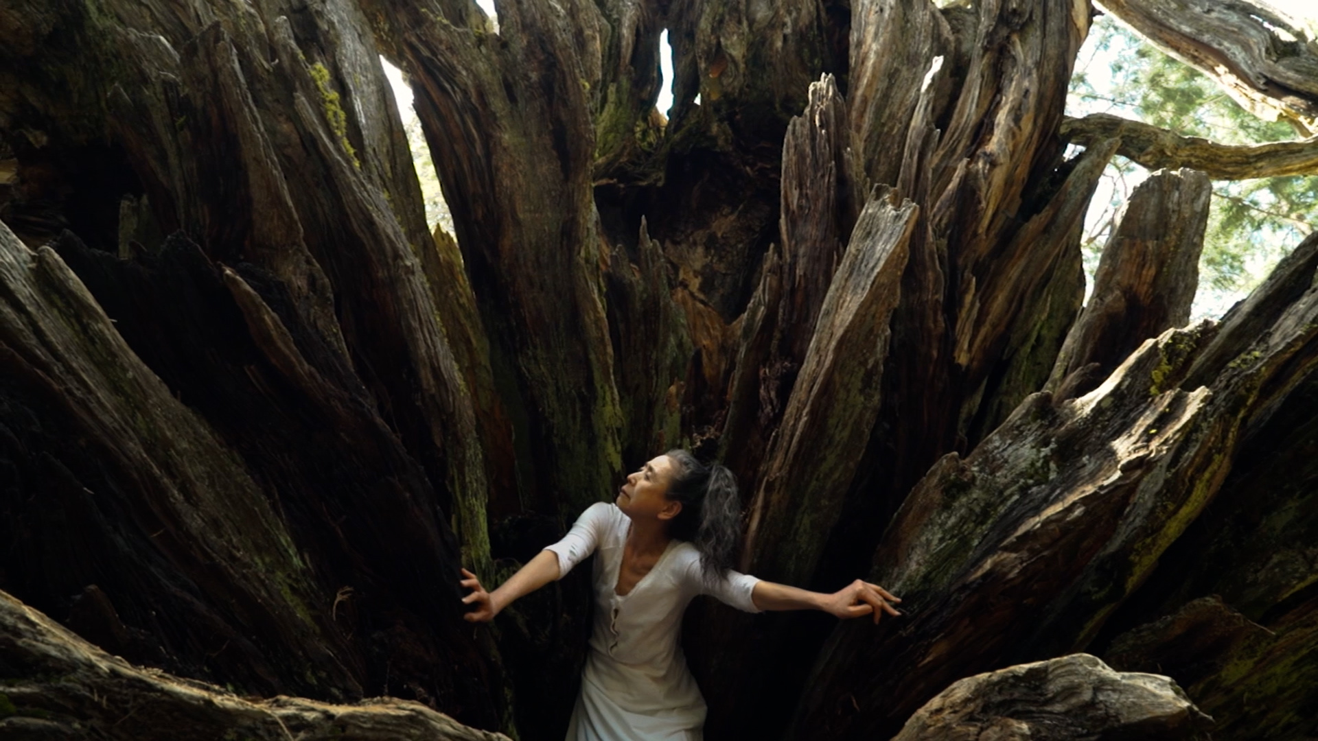 Eiko Otake, Root