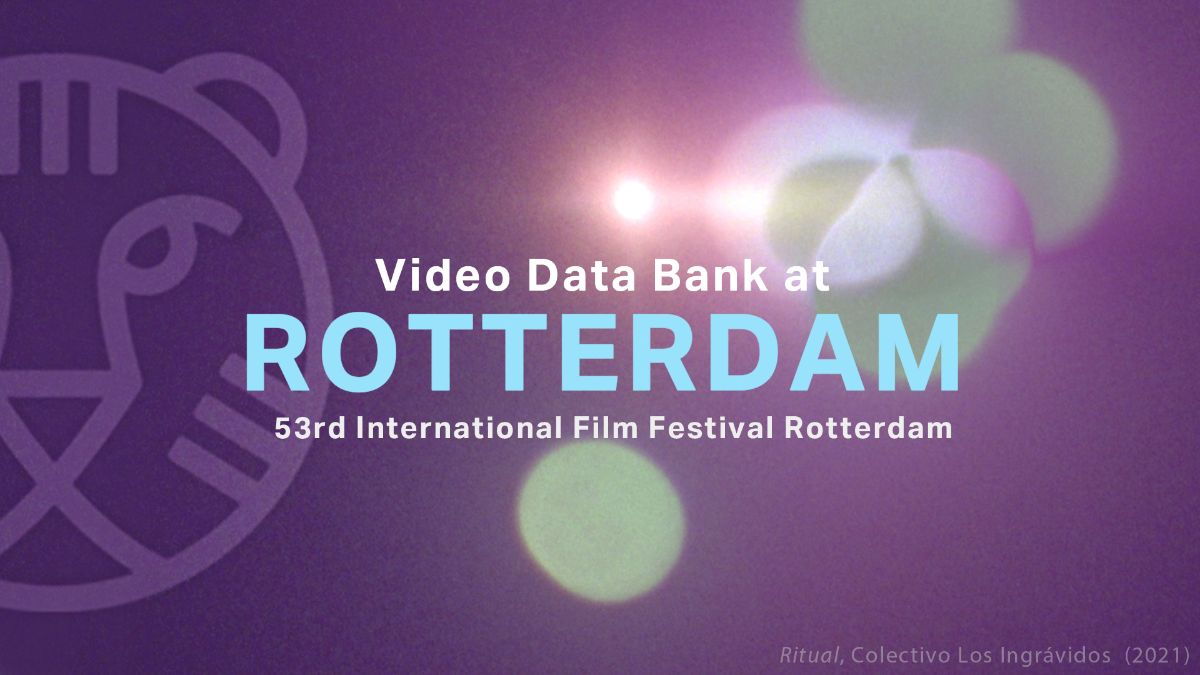 VDB at International Film Festival Rotterdam 2024