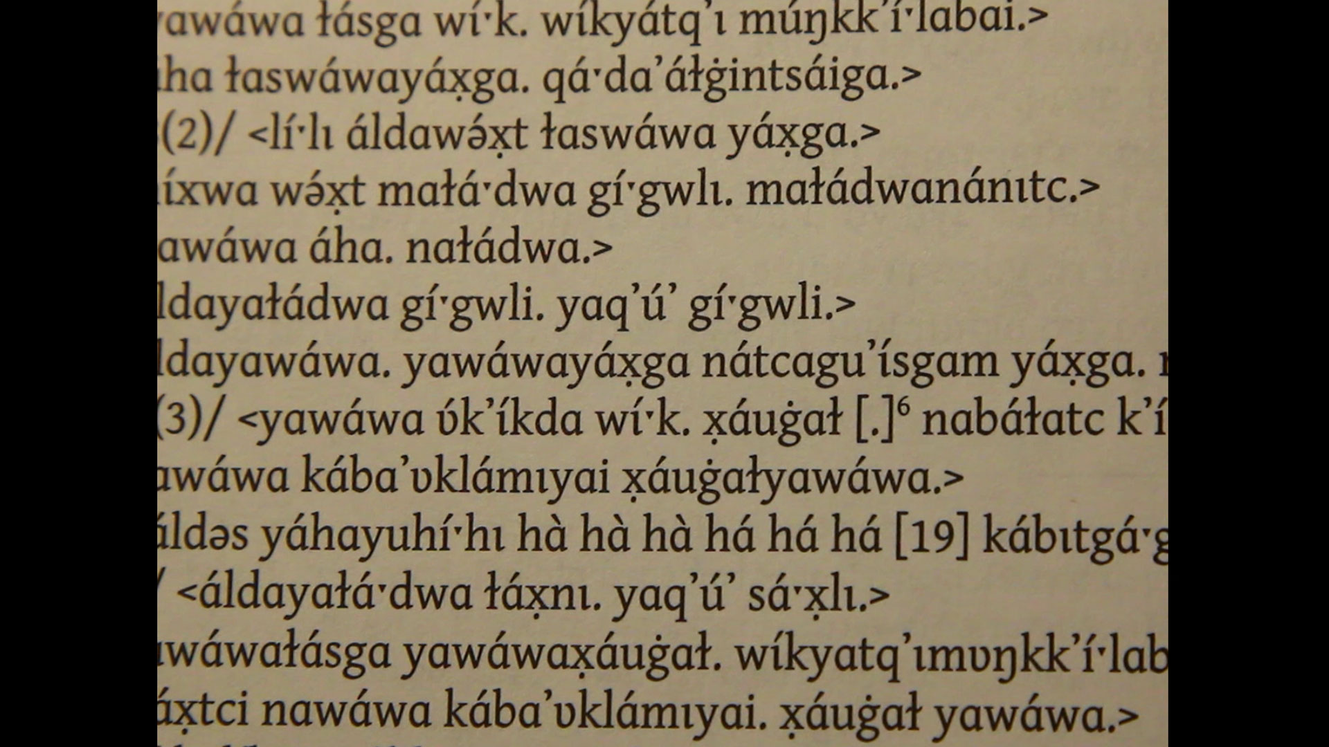 Wawa Vdb Org Wawa Vdb Org