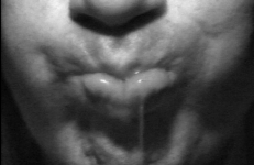 Waterways: 4 Saliva Studies, Acconci