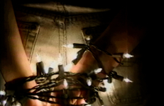 Working Baby Dyke Theory, Theo J. Cuthand