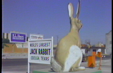 The World’s Largest: A Tape About Texas, Laurie McDonald