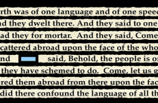 Babel: The Seven Minute Scroll, Beryl Korot