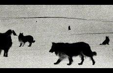 Fabricated in the Actual Arctic, Matthew Lax