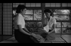 Lil' Tokyo Story, Matthew Lax