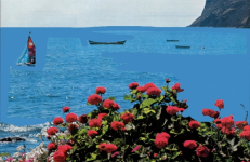 jhana and the rats of james olds: Short Works, Stephanie Barber