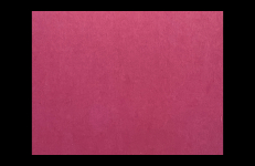 Collateral Fields, Colectivo Los Ingrávidos