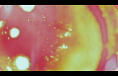 My Structuralist Film, Angelo Madsen