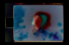 Sometimes Centuries, Colectivo Los Ingrávidos