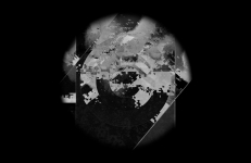 Targets, Colectivo Los Ingrávidos