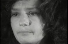 Blumenthal/Horsfield, Arlene Raven: An Interview Arlene Raven: An Interview