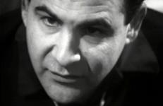 Blumenthal/Horsfield, Joel Shapiro: An Interview Joel Shapiro: An Interview