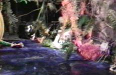 George Kuchar, Jungle Jezebel Jungle Jezebel