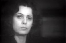 Blumenthal/Horsfield, Pat Steir 1975: An Interview Pat Steir 1975: An Interview