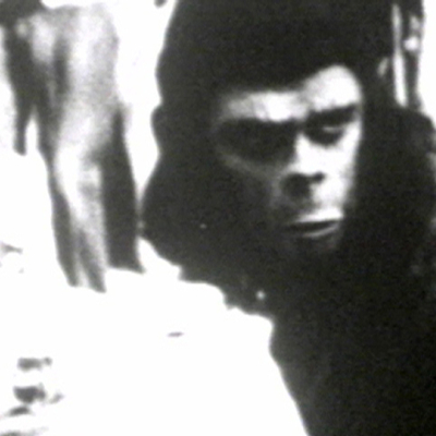 Apeshit