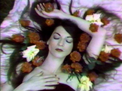 Problematizing Pleasure / Punk Theory