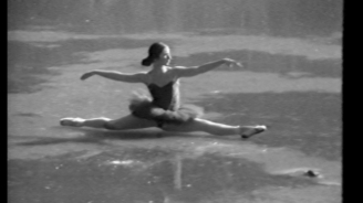 The Dying Swan, Laurie McDonald