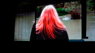 Open Conch, Dani Leventhal ReStack, Sheila ReStack