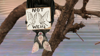 Not Yet Out Of The Woods, Jennet Thomas