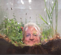 Scott Rankin in Terrarium 2013.jpg