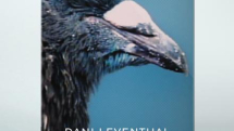 Dani Leventhal Videoworks: Volume 1