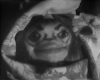Videofreex, Sybil